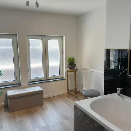 Prázdninový dům Petite Maison Typique En Outremeuse - 2 A 4 Personnes Lutych